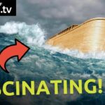 Expert’s BEST Prediction on How Noah’s Ark Looked